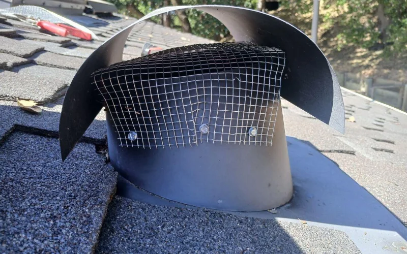 Rodent proofing 1